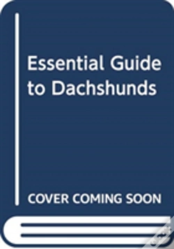 Capa do artigo Essential Guide To Dachshunds