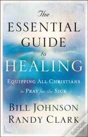 Capa do artigo Essential Guide To Healing