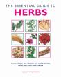Essential Guide To Herbs - Preview