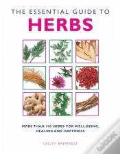 Capa do artigo Essential Guide To Herbs