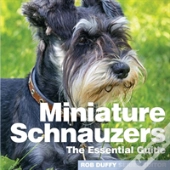 Essential Guide To Miniature Schnauzers