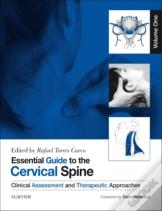 Essential Guide To The Cervical Spine