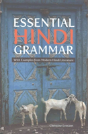 Essential Hindi Grammar - Preview