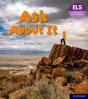Essential Letters And Sounds: Essential Phonic Readers: Oxford Reading Level 6: Ask About It - Preview