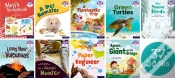 Capa do artigo Essential Letters & Sounds: Essential Phonic Readers: Ol 1-7 Review Singles Pk