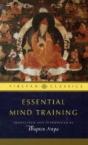 Essential Mind Training - Preview