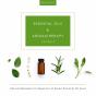 Essential Oils & Aromatherapy Volume 2 (Boxed Set): Natural Remedies For Beginners To Expert Essential Oil Users - Preview
