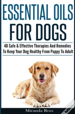 Capa do artigo Essential Oils For Dogs