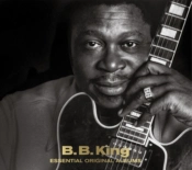 Capa do artigo Essential Original Albums - CD