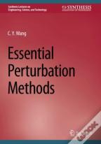Essential Perturbation Methods