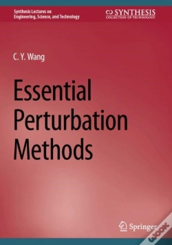 Capa do artigo Essential Perturbation Methods