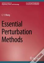 Essential Perturbation Methods