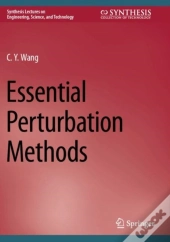 Essential Perturbation Methods