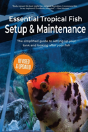 Essential Tropical Fish Setup & Maintenance - Preview