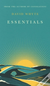 Capa do artigo Essentials