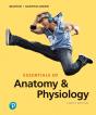 Essentials Of Anatomy & Physiology - Preview
