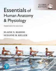 Essentials Of Human Anatomy & Physiology, Global Edition + Mastering A&P With Pearson Etext