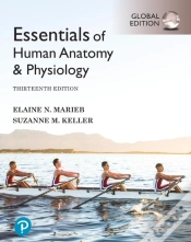 Capa do artigo Essentials Of Human Anatomy & Physiology, Global Edition + Mastering A&P With Pearson Etext