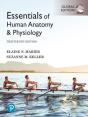 Essentials Of Human Anatomy & Physiology, Global Edition - Preview
