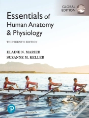 Capa do artigo Essentials Of Human Anatomy & Physiology, Global Edition