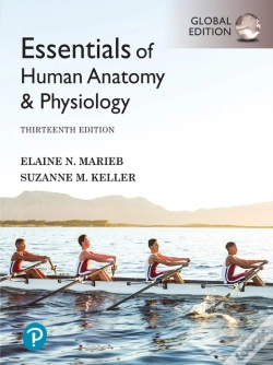 Capa do artigo Essentials Of Human Anatomy & Physiology, Global Edition