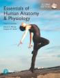 Essentials Of Human Anatomy & Physiology Plus Pearson Modified Mastering Anatomy & Physiology With Pearson Etext, Global Edition - Preview