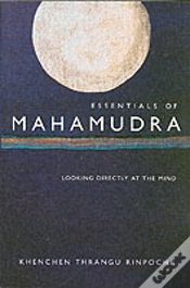 Capa do artigo Essentials Of Mahamudra