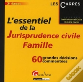 Essentiel De La Jurisprudence Civile. La