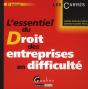 Essentiel Du Droit Des Entreprises En Di - Preview