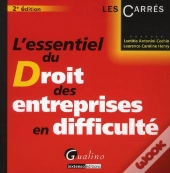 Essentiel Du Droit Des Entreprises En Di