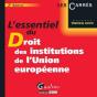 Essentiel Du Droit Des Institutions De L - Preview