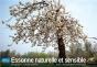 Essonne Naturelle Et Sensible - Preview