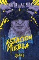 Estacion Niebla