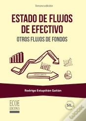 Capa do artigo Estado De Flujos De Efectivo