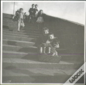 Capa do artigo Estampa - Meninos Ribeira do Porto