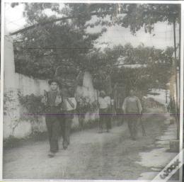 Estampa - Vindimas e Musica