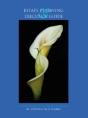 Estate Planning And Executor Guide - Preview