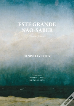 Capa do artigo Este Grande Não-Saber