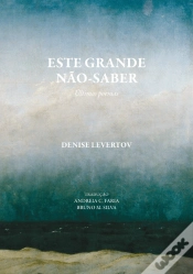 Capa do artigo Este Grande Não-Saber