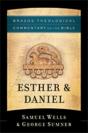 Esther & Daniel (Brazos Theological Commentary On The Bible) - Preview