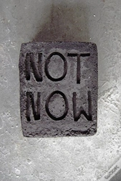 Capa do artigo Esther Klas: Not Now