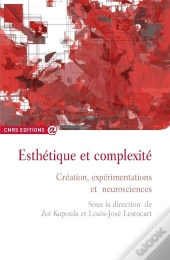 Esthétique Et Complexité ; Création, Expérimentations Et Neuroscience