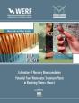 Estimation Of Mercury Bioaccumulation Potential From Wastewater Treatment Plants In Receiving Waters: Phase 1 - Preview
