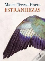 Capa do artigo Estranhezas