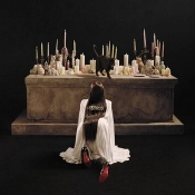 Capa do artigo ESTRUS - CD