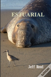 Capa do artigo Estuarial