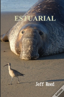 Capa do artigo Estuarial