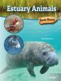 Estuary Animals - Preview