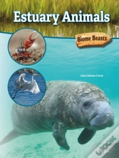 Capa do artigo Estuary Animals