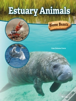 Capa do artigo Estuary Animals